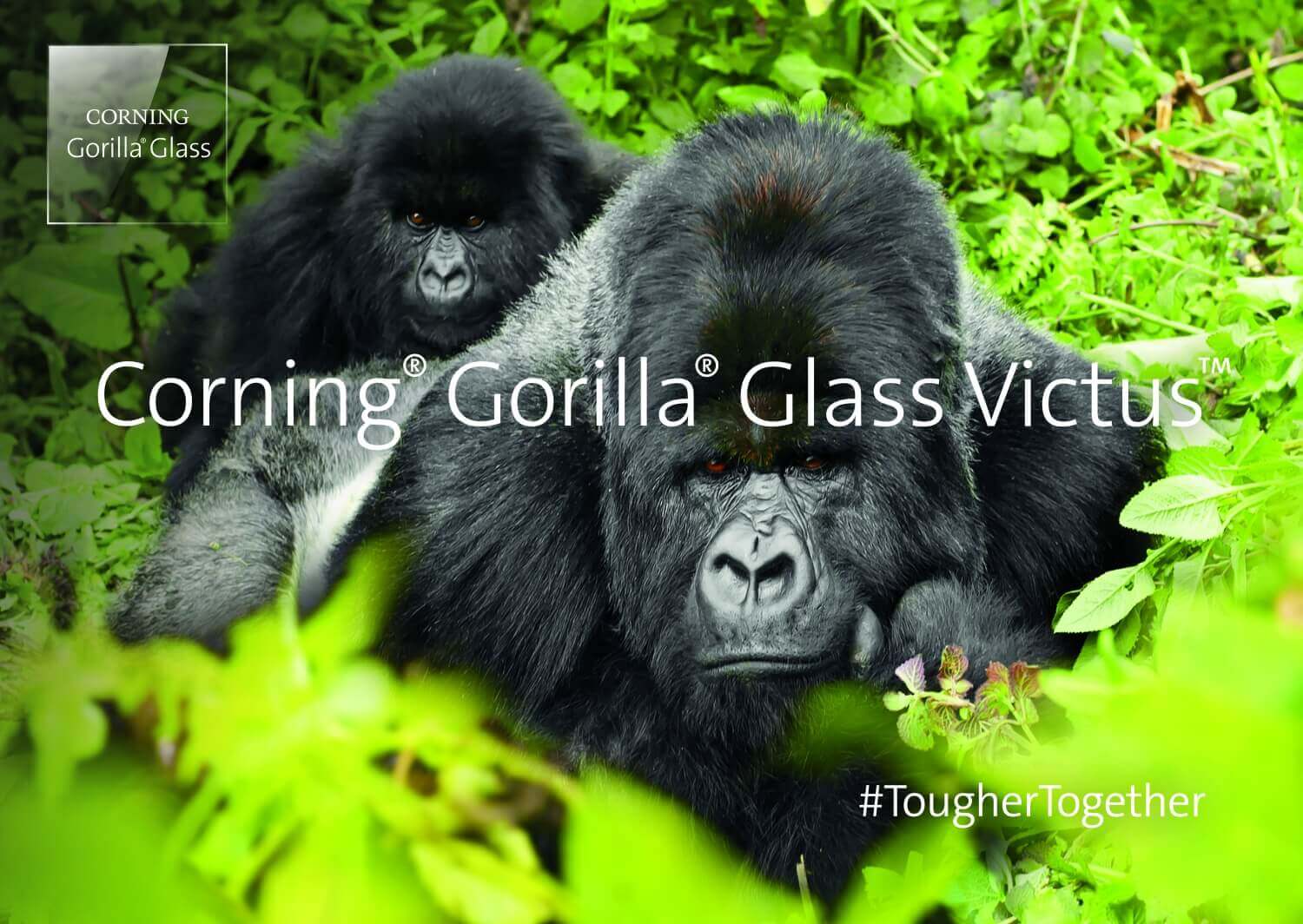 Gorilla Glass Victus, cea mai buna sticla de protectie pentru telefoane
