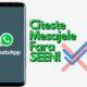 Vrei sa citesti mesajele WhatsApp fara sa apara seen?